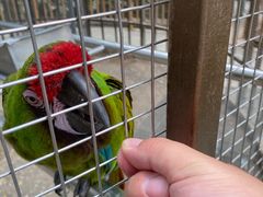 -南宫五洲植物乐园