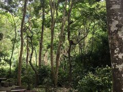 -广西龙虎山风景区