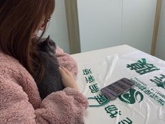 -瑞派宠物医院·内科·软组织·绝育中心(沈阳八纬路分院)