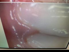 -深圳富茂格伦菲尔口腔门诊部(龙华清湖总院)