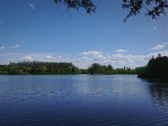 -翠湖国家城市湿地公园