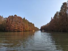 -上海海湾国家森林公园