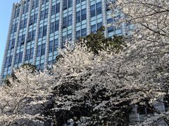 -星湖街(地铁站)