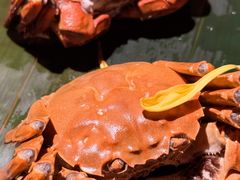 -成隆行·蟹王府(淮海店)