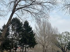 -沈阳市东陵公园