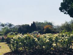 -人民公园(罗湖区)