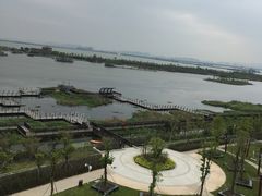 -芒洲湿地公园