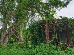 -中国科学院西双版纳热带植物园