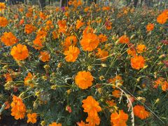 -狼山风景名胜区