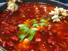 -重庆乌鱼庄·龙滋鲜(青羊大道店)