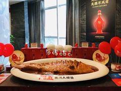 -阿五黄河大鲤鱼(纬三路店)