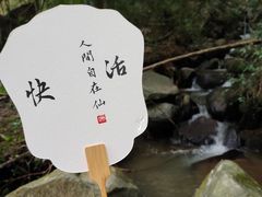 -大围山国家森林公园