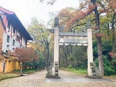 -灵谷景区