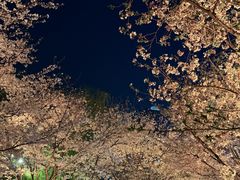 -西北湖绿化广场