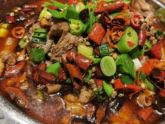 -闫家驴肉老店(华电一校店)