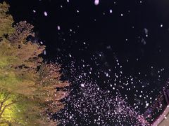 -海心沙亚运公园