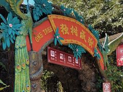 -瑞丽独树成林风景区