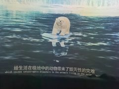 -中国杭州低碳科技馆