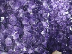 -河南自然博物馆