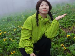 -凤凰山国家森林公园
