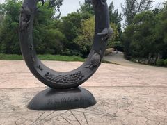 -广东惠东海龟国家级自然保护区