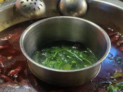 -金鼎雪山牦牛杂火锅(理县总店)