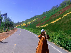 -小绿谷公园