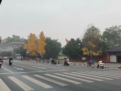 -太平洋激光影城(金沙紫荆店)