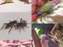-正佳雨林生态植物园