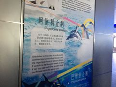 -上海海昌海洋公园