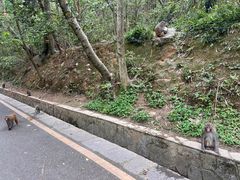 -黔灵山公园