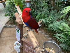 -南宫五洲植物乐园