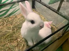 -藦茜花园宠物主题亲子互动体验馆(国顺东路店)