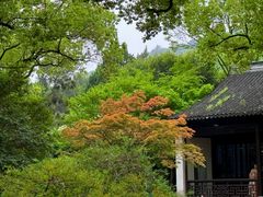 -惠山古镇·寄畅园