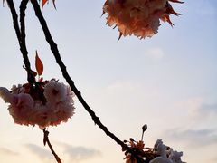 -大雁塔北广场音乐喷泉
