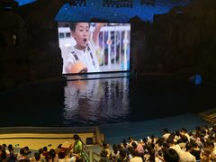 -芜湖新华联大白鲸海洋公园