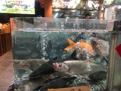 -传统菜农庄(皇姑路店)