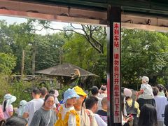 -深圳野生动物园
