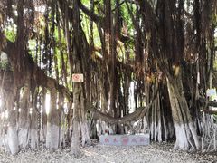 -胡里山炮台