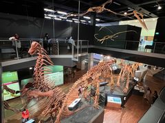 -墨尔本博物馆(Melbourne Museum)