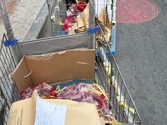 -中国中医科学院西苑医院(本部)