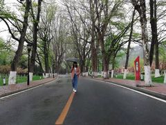 -棒棰岛宾馆景区