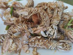 -波记美食店·现捞海鲜