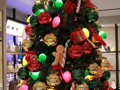 -COACH蔻驰(华润万象城店)