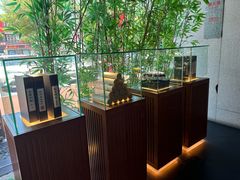 -新紫霞养生·影院足道·SPA(金山区店)