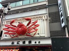 -蟹道乐(道顿堀本店)