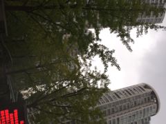 -新湖明珠城