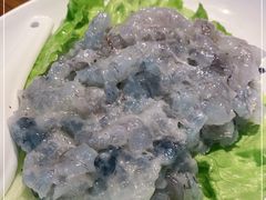 -南海鸽天下(肇庆店)