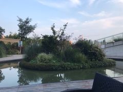 -湛江菜.江南首席(昆山店)