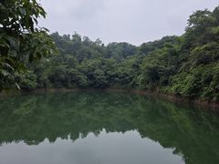 -潜山国家森林公园
